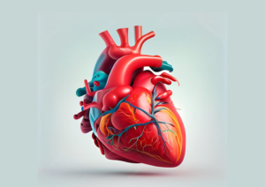Read more about the article The 5 Ways to Maintain a Healthy Heart